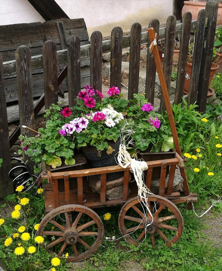 Elbhangzimmer Δρέσδη Εξωτερικό φωτογραφία